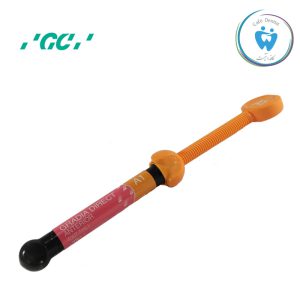 GC Gradia Direct Anterior 1 جی سی