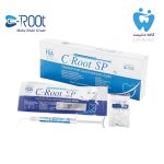 سیلر بایوسرامیک سی روت - C-Root SP Injectable Root Canal Bioceramic Sealer